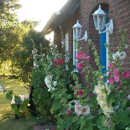 Alleinlage - Erholung Pur - Morsum Appartement *